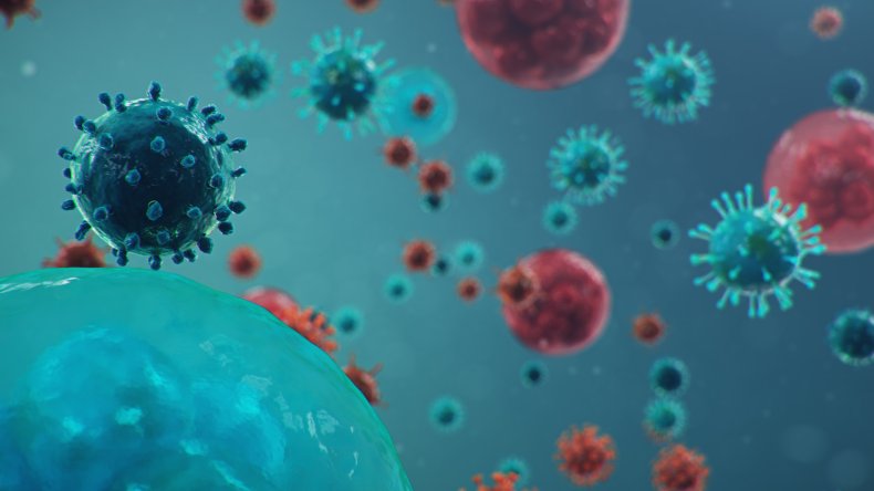 covid, coronavirus, antibodies, getty, stock