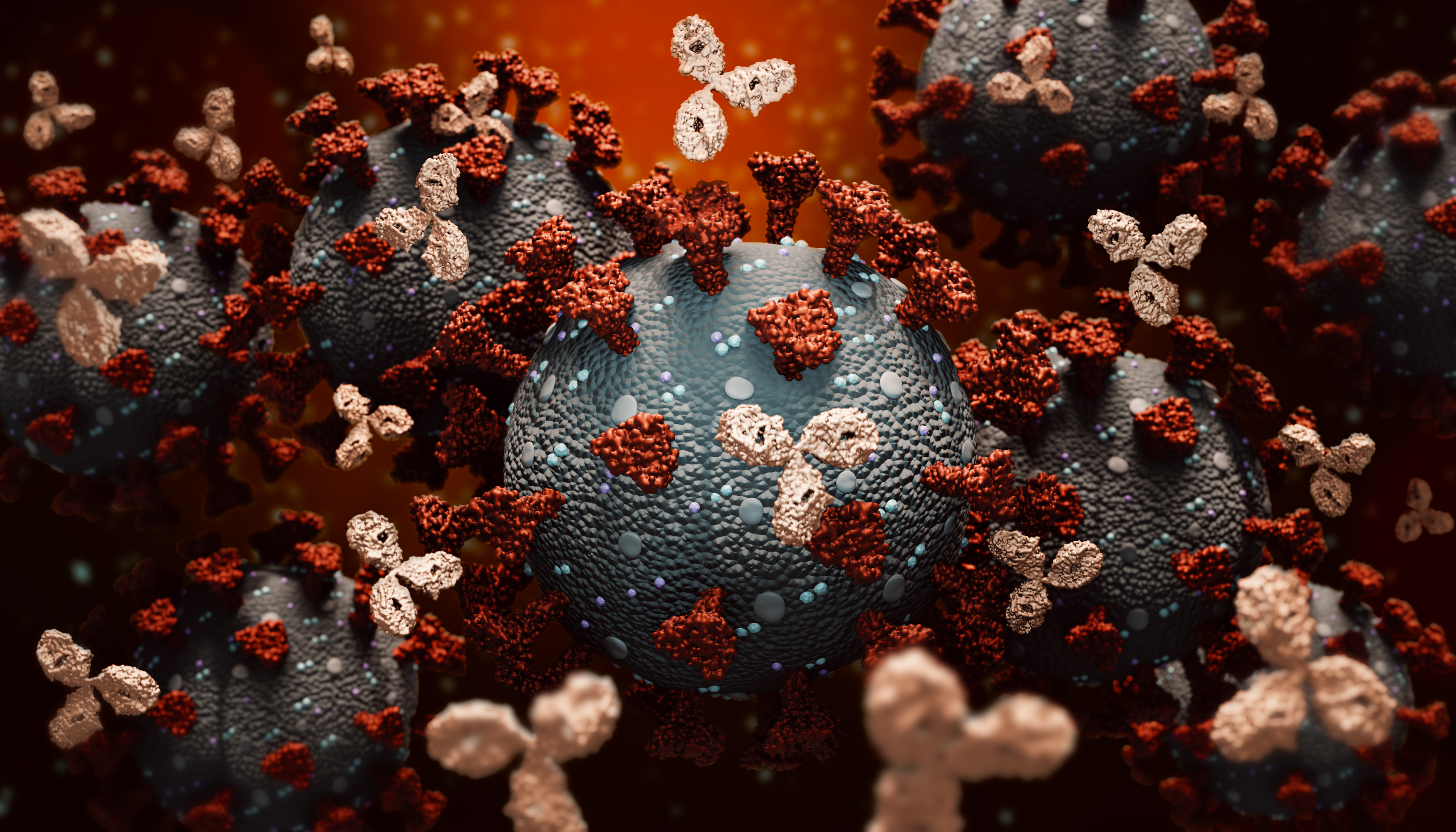 What is Monoclonal Antibody Therapy? Eli Lilly Says Treatment Prevents COVID Infection What is Monoclonal Antibody Therapy? Eli Lilly Says Treatment Prevents COVID Infection