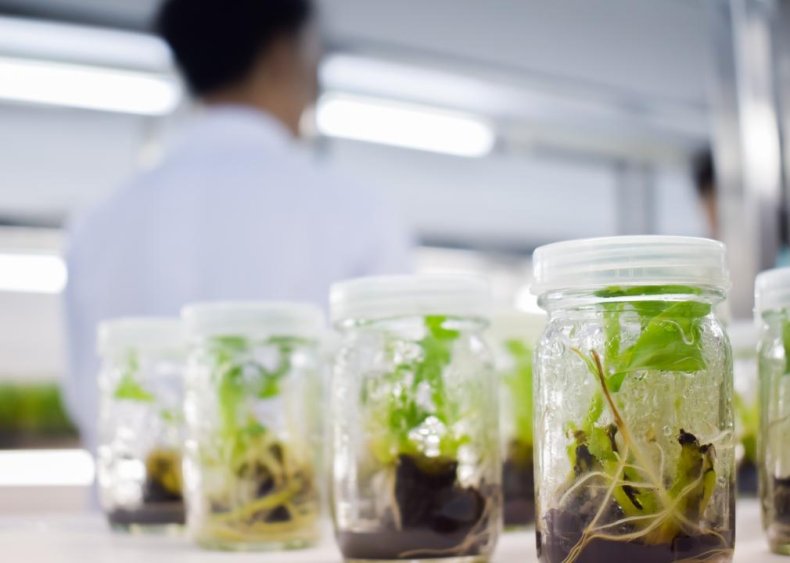 #52. Environmental studies