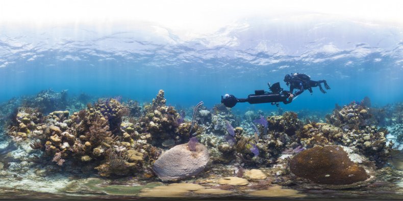 Chasing Coral Still from Netflix Documentary