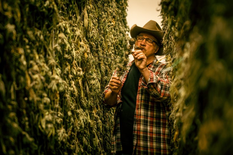 Belushi's Farm