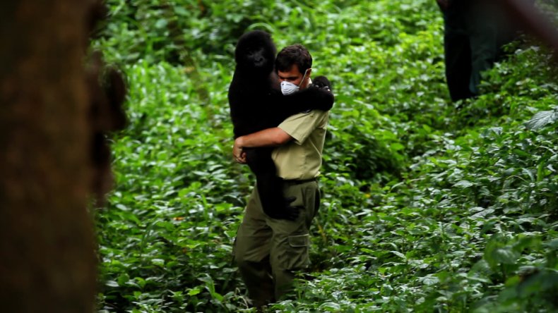 Production still Virunga Netflix