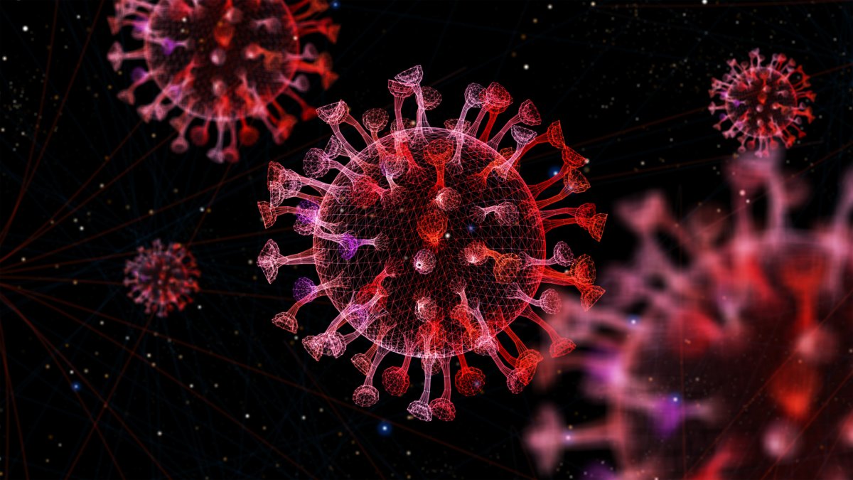 The novel coronavirus