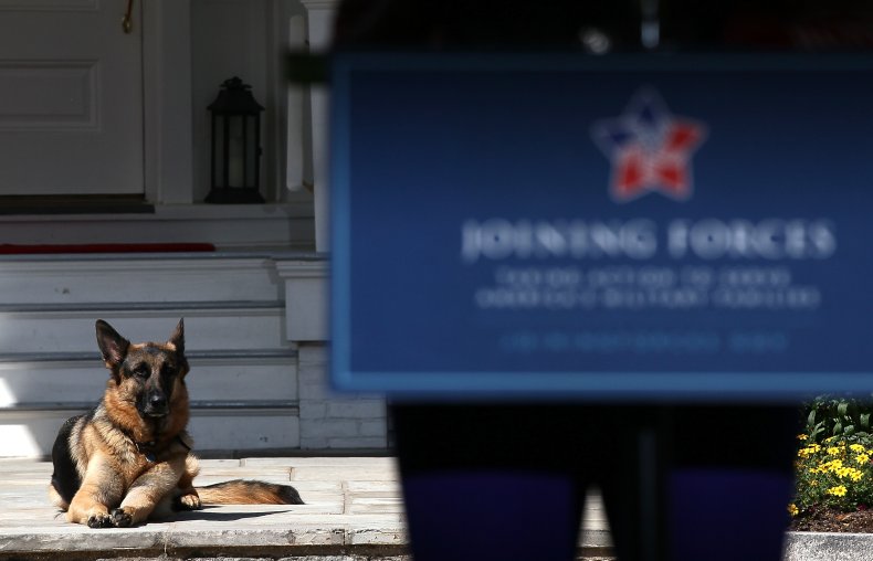 Biden Dogs White House