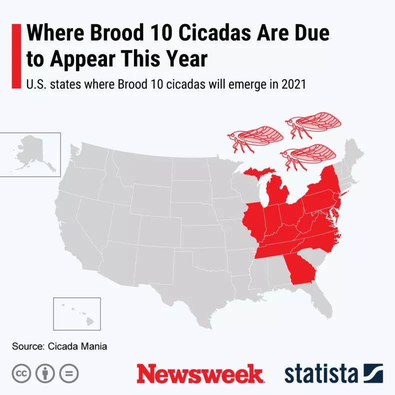 cicada-map-brood-10-brood-x-statista.web