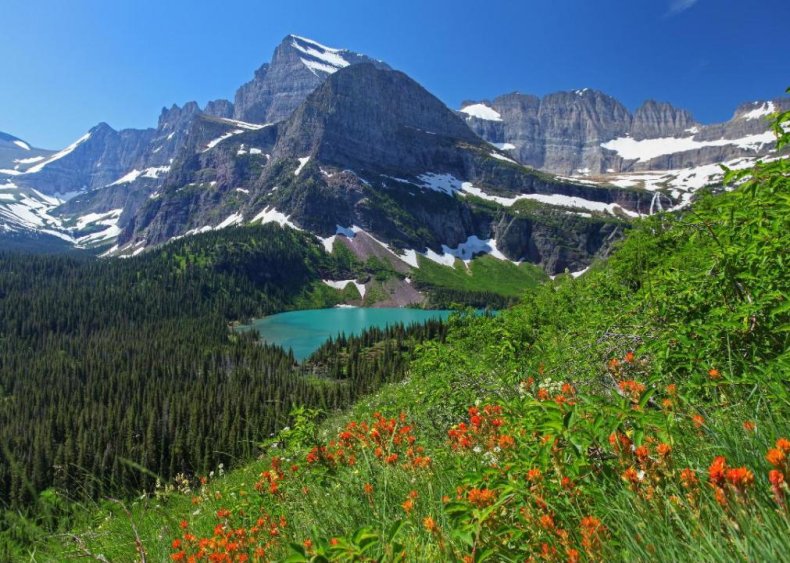 #42. Montana