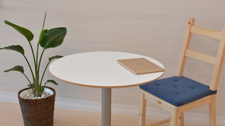 Feng Shui Indoor Plants