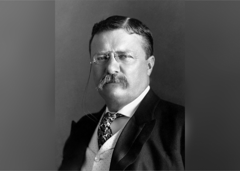 #46. Theodore Roosevelt