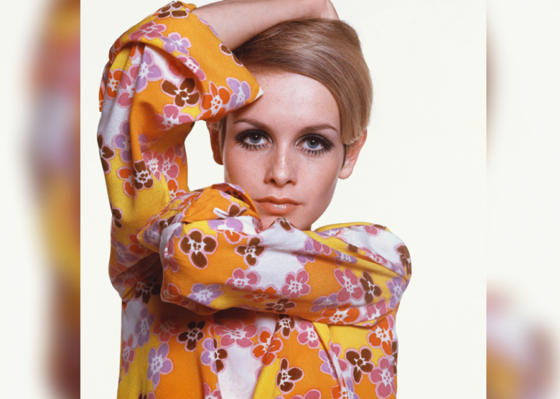 Twiggy is a new kind of model
