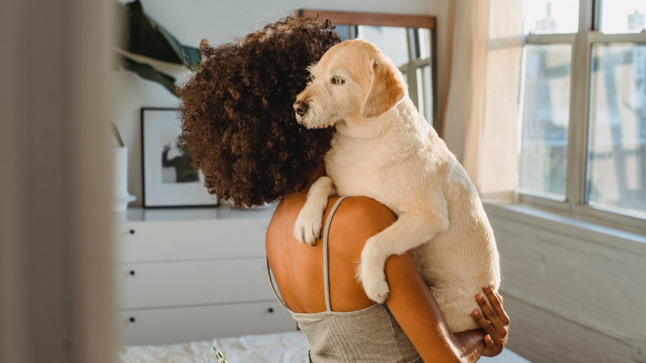 Dog being picky outlet about food