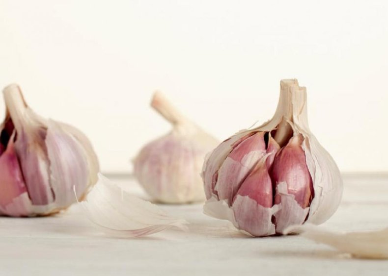 Garlic
