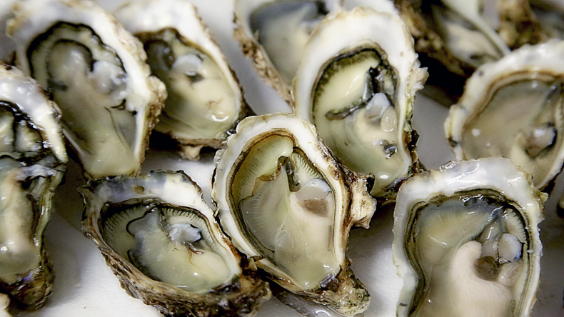Collagen-Boosting Diet oysters