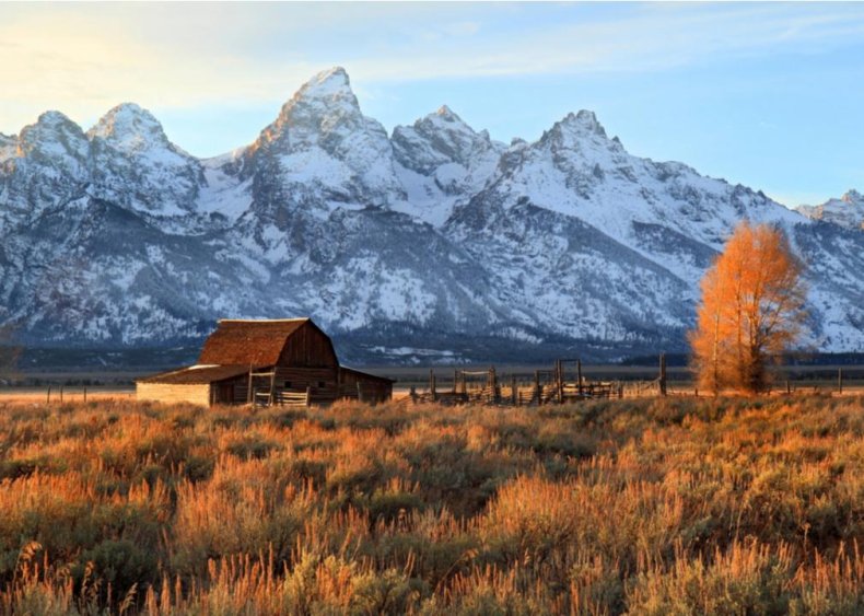 Wyoming: General sales tax