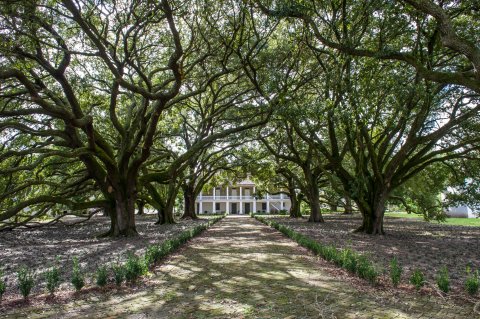 CUL_Map_African American_Whitney Plantation