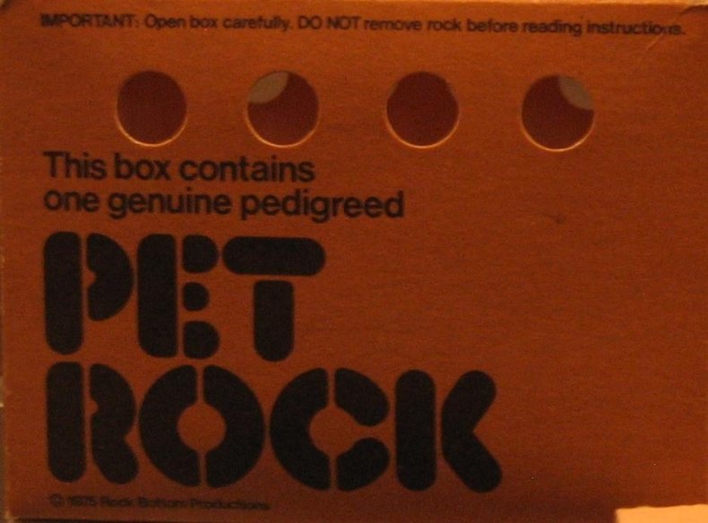 1975: Pet rocks