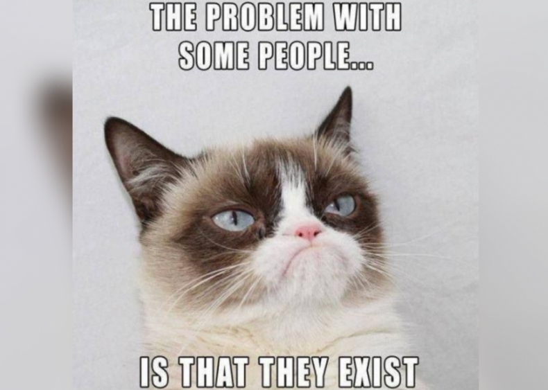 2012: Grumpy Cat