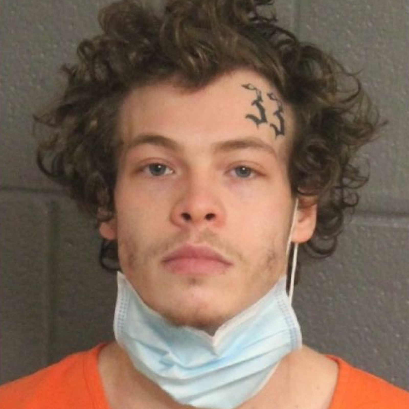 Harry Styles Lookalike Arrested for Pennsylvania Armed Robbery Harry Styles Lookalike Arrested for Pennsylvania Armed Robbery