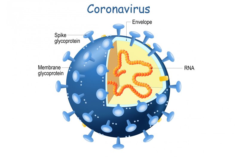 coronavirus, covid, virus, stock, getty