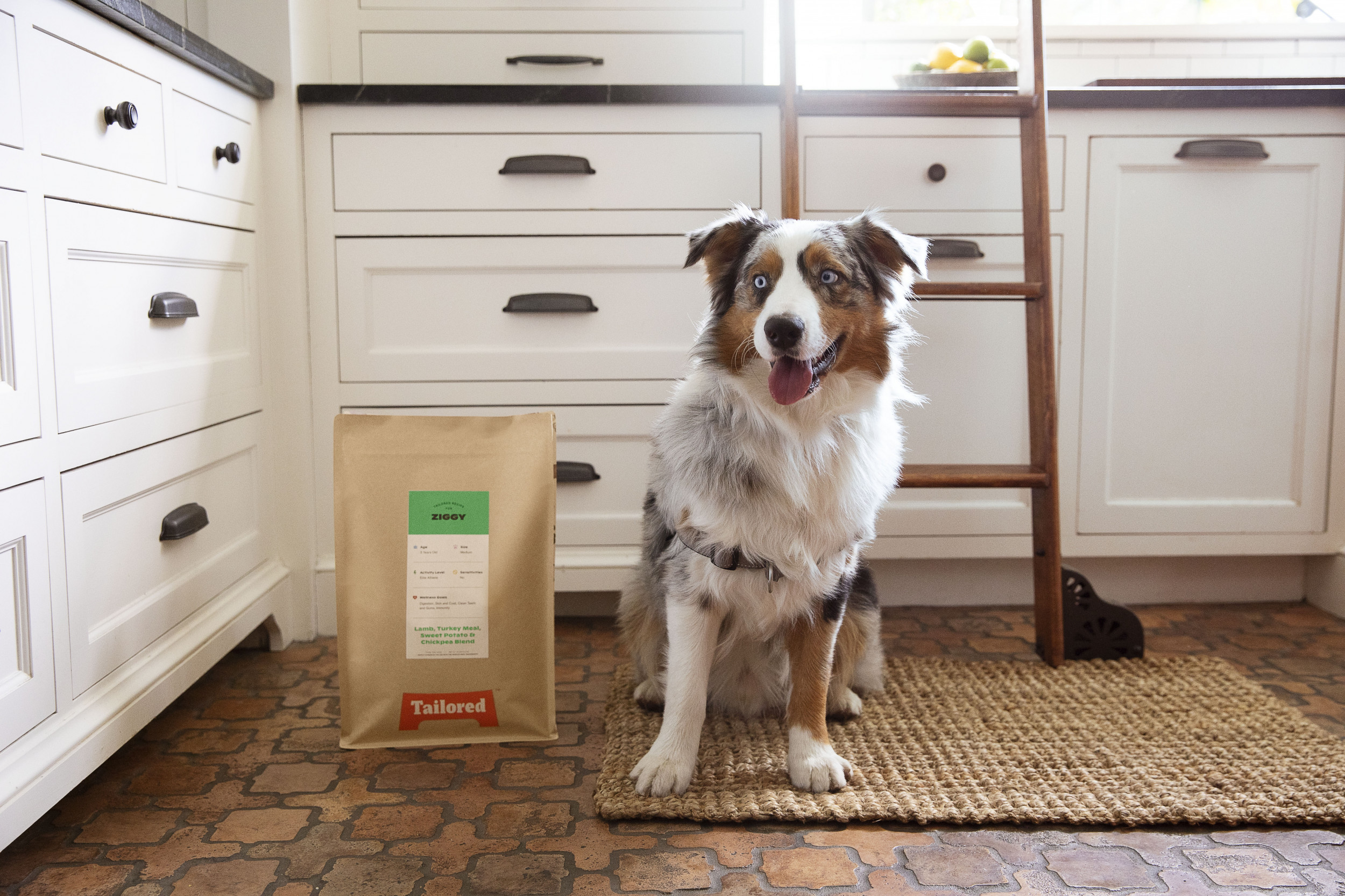 dog food tailored to your dog