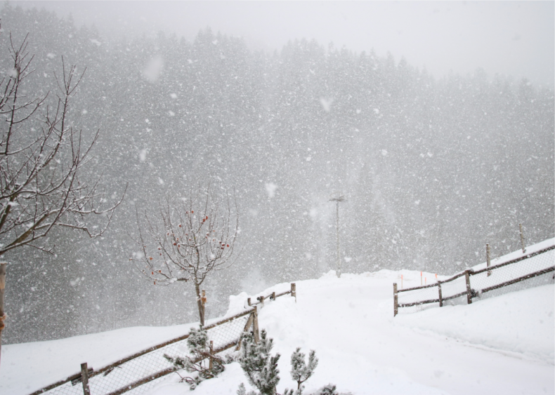 1984: A mix of cold spells, storms, and hail