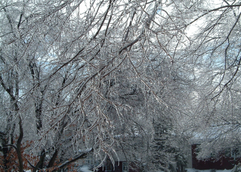 2005: A cluster of high-wind blizzards