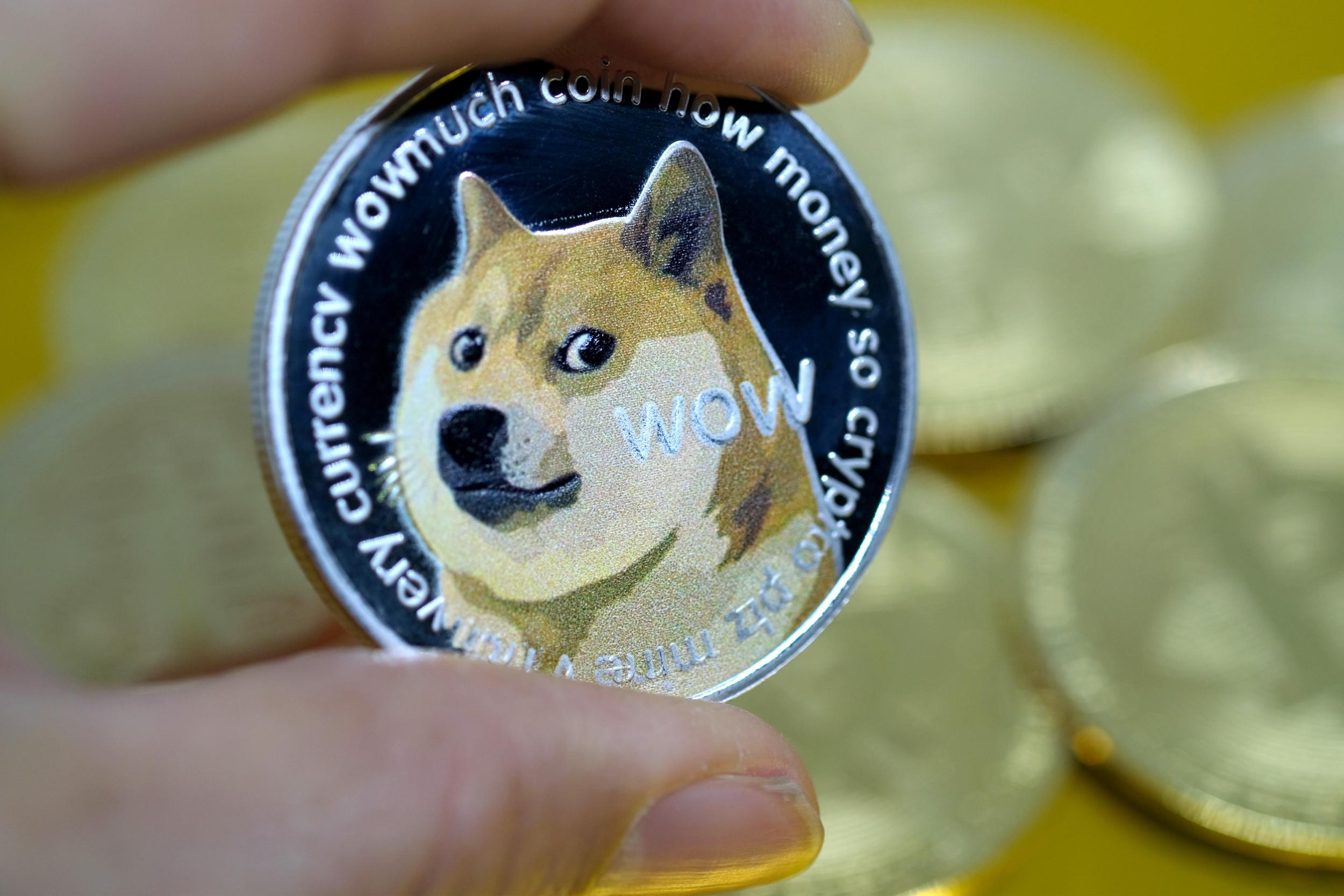 Dogecoin Value Spikes after Elon Musk Tweets about ...