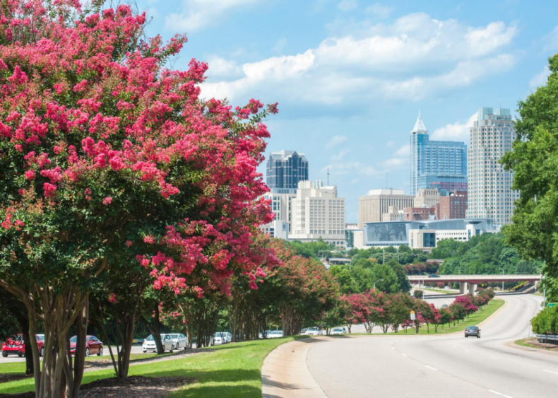 #82. Raleigh, North Carolina