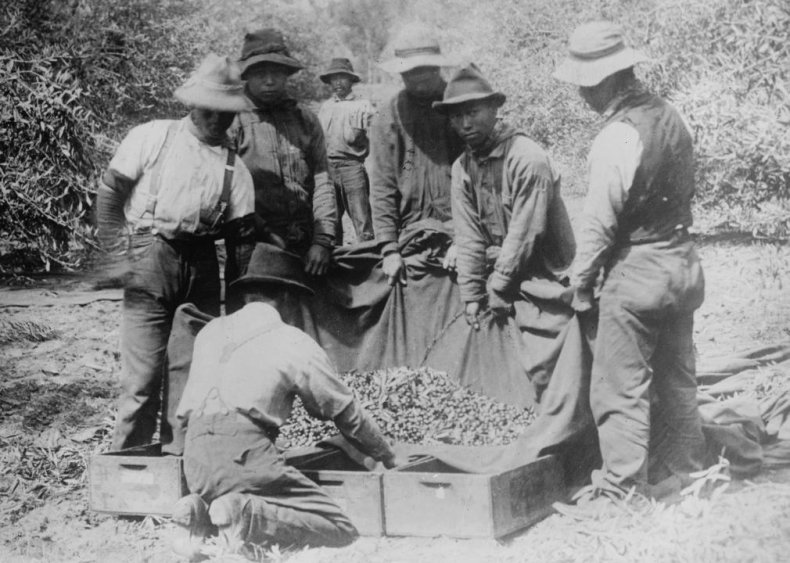 California: Immigrant farmworkers stand up