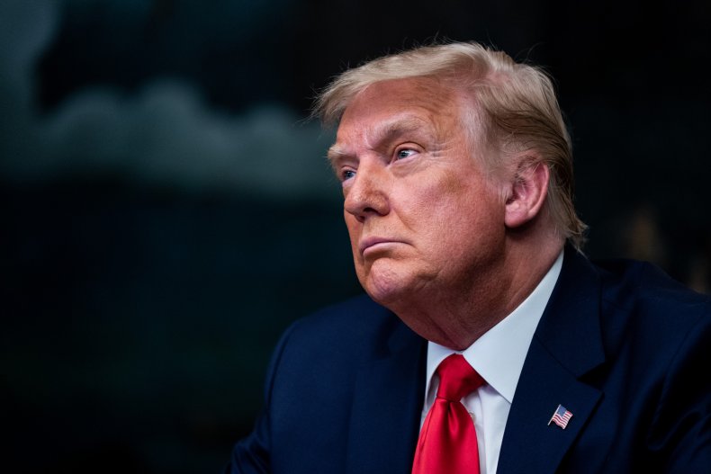 donald trump impeachment trial bruce castor