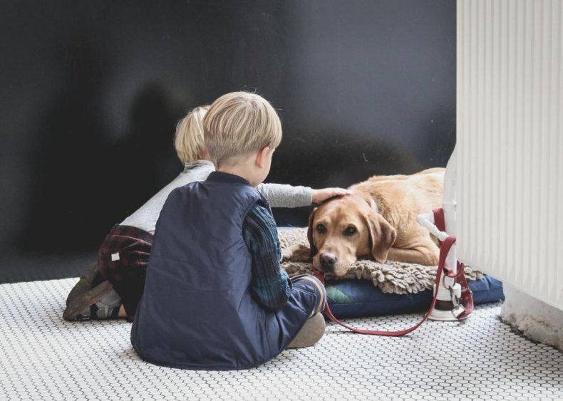 Can dogs and other pets get COVID-19?