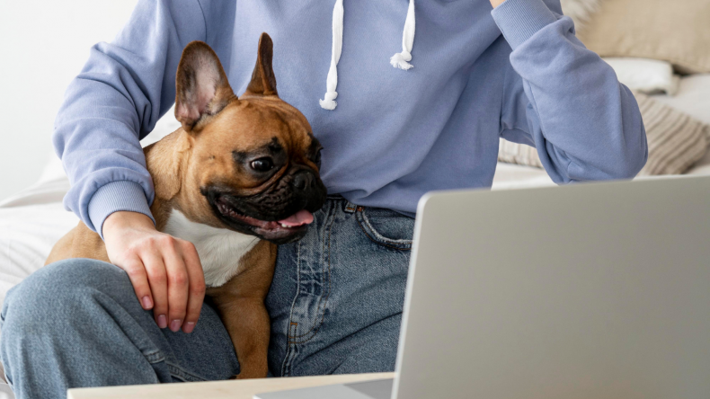Best Canine DNA Test Kit Embark