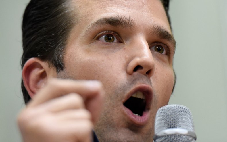 Donald Trump Jr. Sean Hannity billionaire pulse