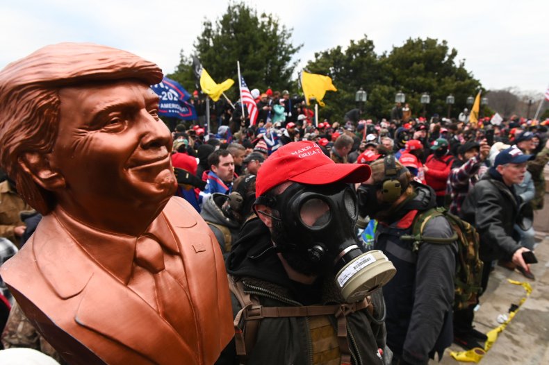 donald, trump, protests, capitol, building