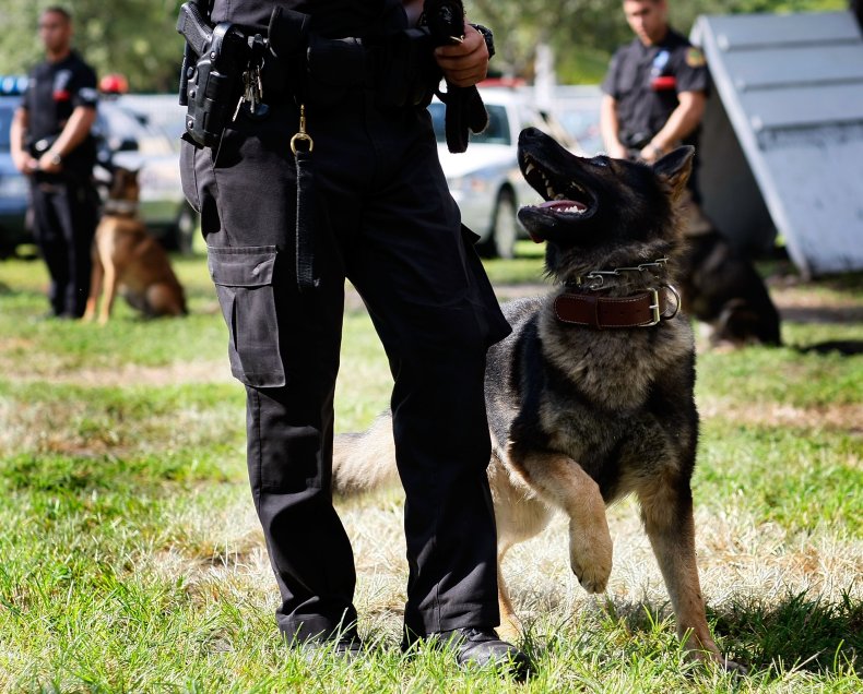 k9 police dog