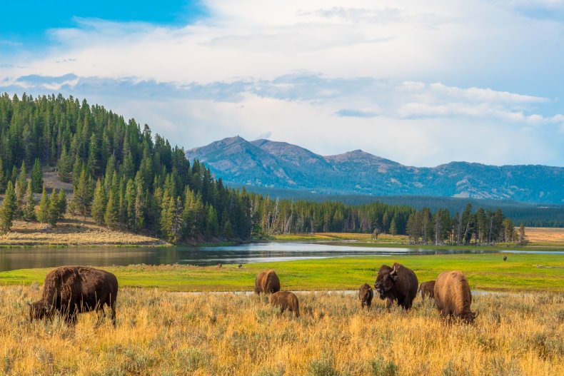 National Park