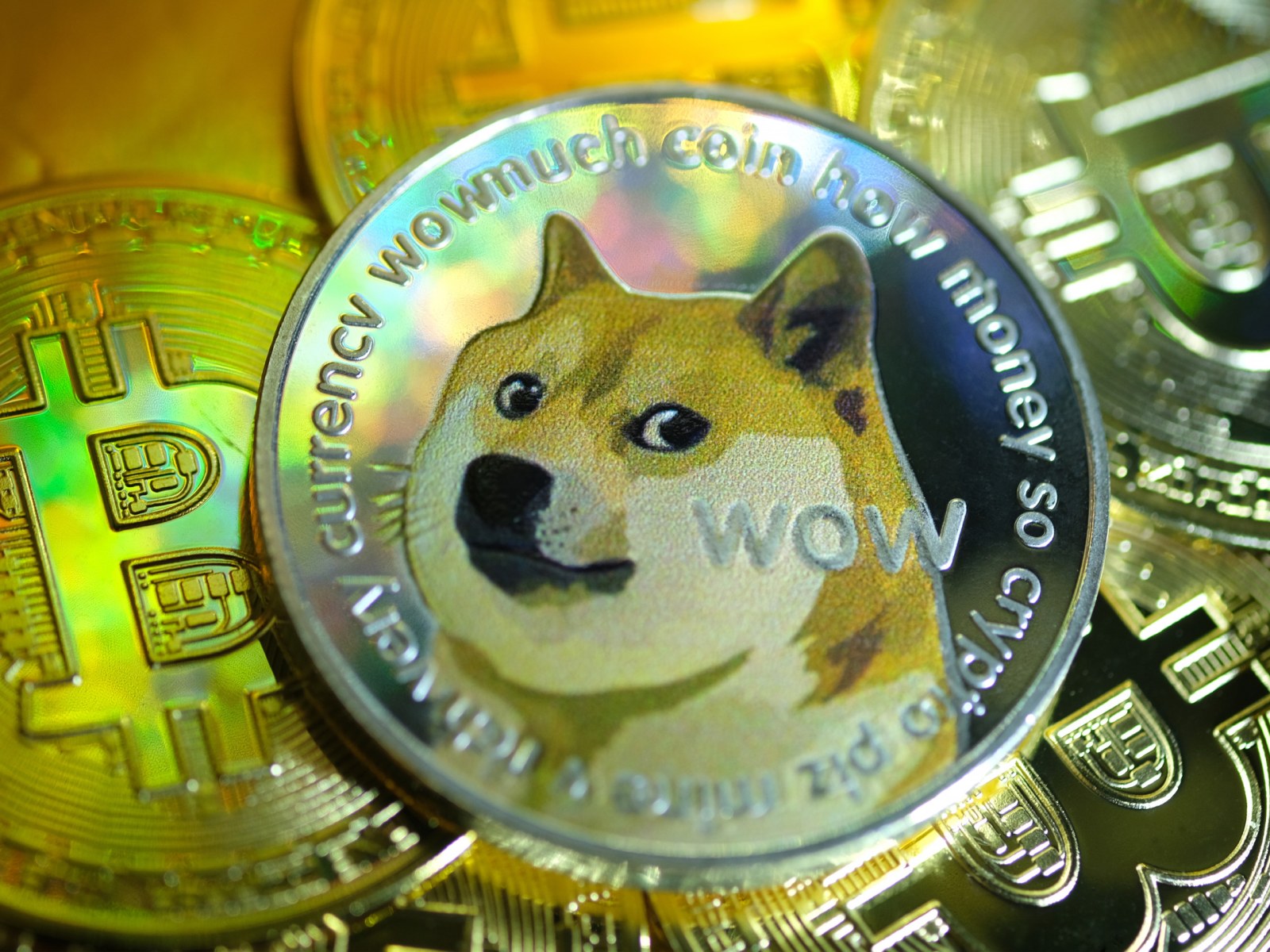 Dogecoin Price Tracker Updates As Cryptocurrency Continues Fall After Last Week S High Dogecoin Price Tracker Updates As Cryptocurrency Continues Fall After Last Week S High