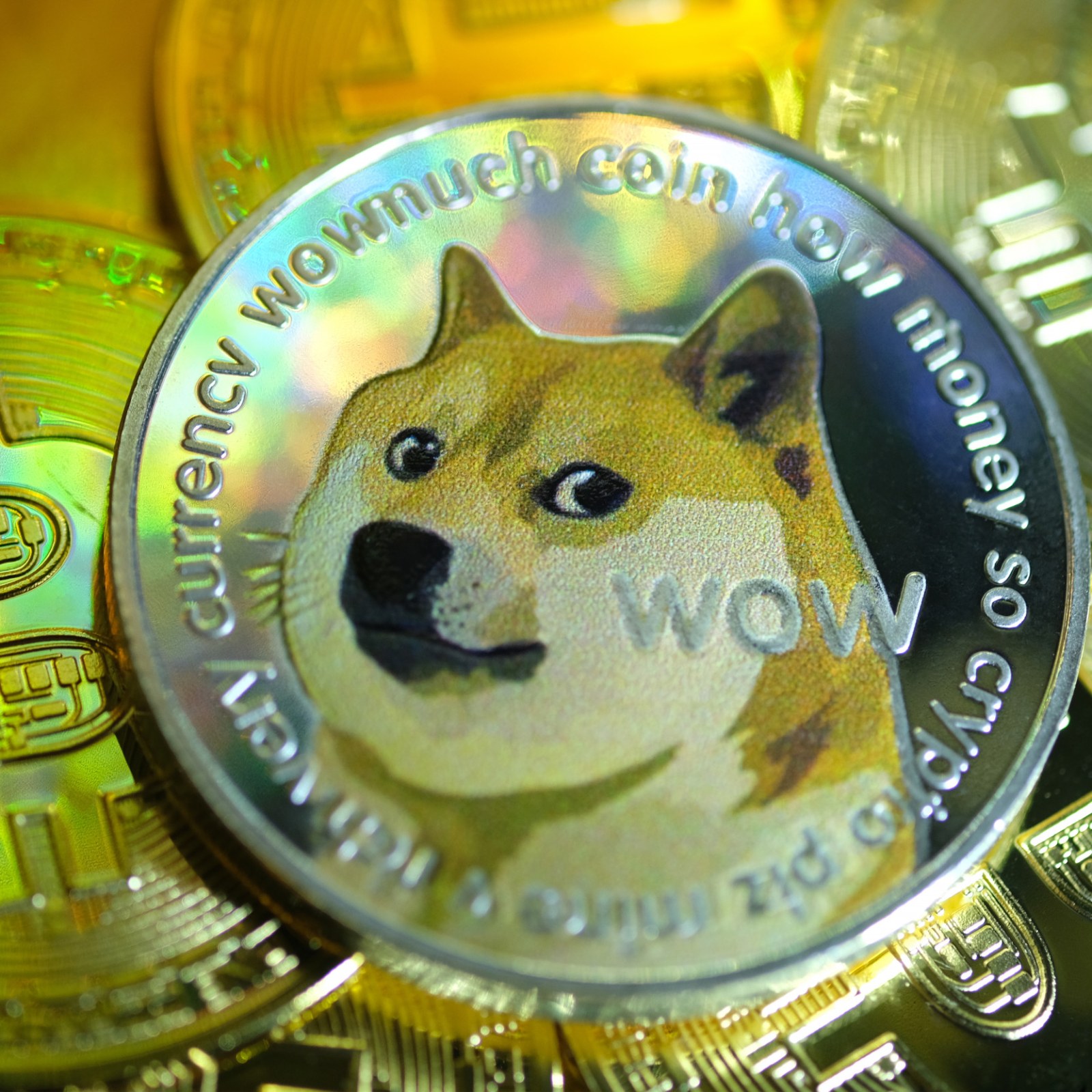 Dogecoin Price Tracker Updates As Cryptocurrency Continues Fall After Last Week S High Dogecoin Price Tracker Updates As Cryptocurrency Continues Fall After Last Week S High