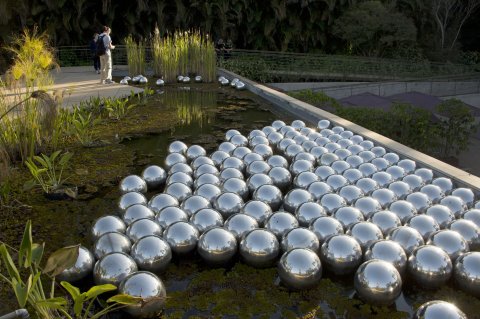 CUL_Map_Yayoi Kusama_Inhotim Centre for Contemporary Art, Brazil