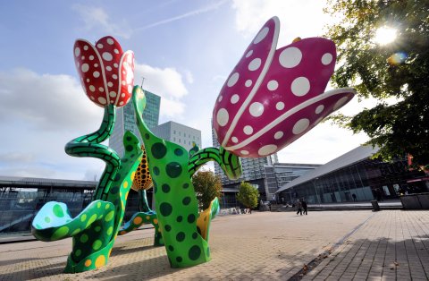 CUL_Map_Yayoi Kusama_Tulipes de Shangri-La