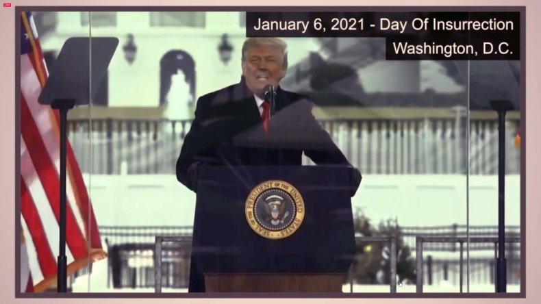 Donald Trump Senate Impeachment Video Evidence Screenshot