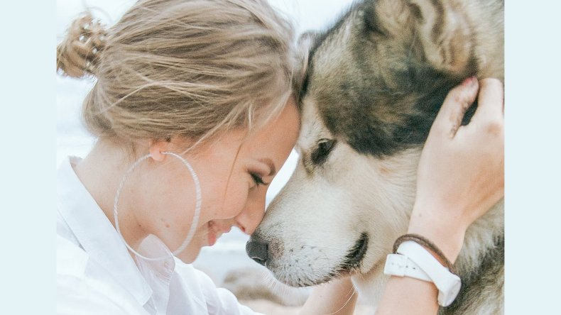 Tailored For Your Pet 12
