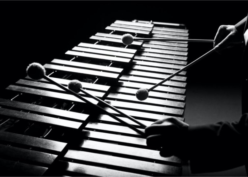 The vibraphone