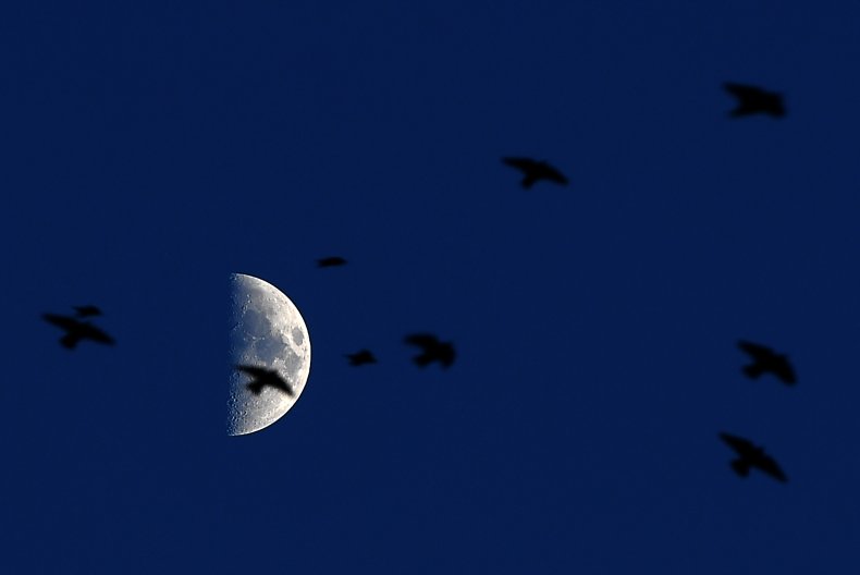 Moon in Italy