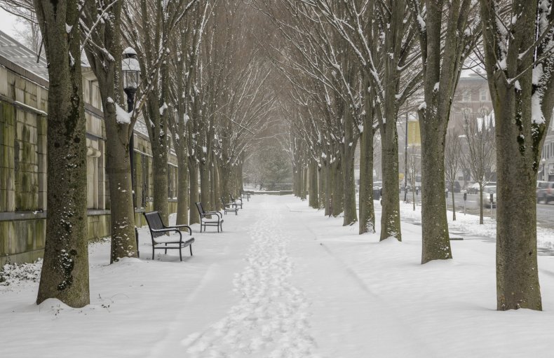 Princeton
