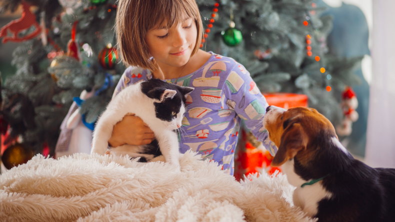 approximate costs of vet treatments and services