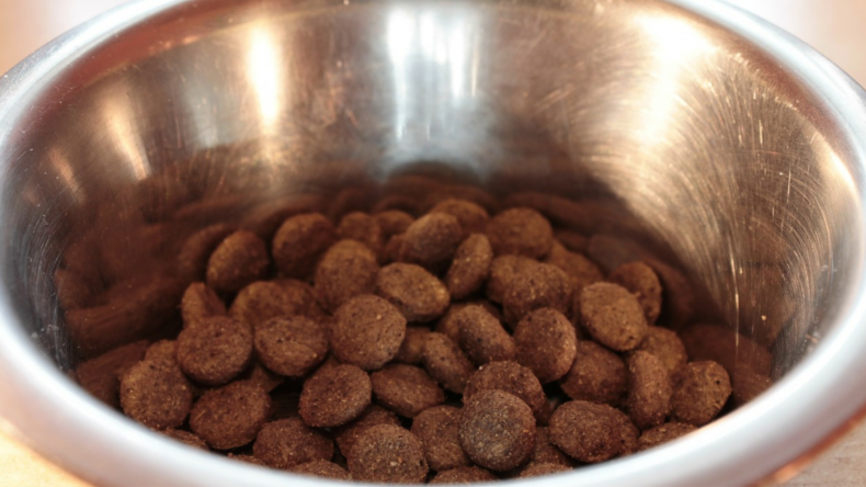 Dog food bowl