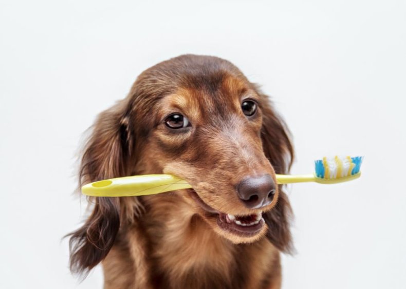 Periodontal disease