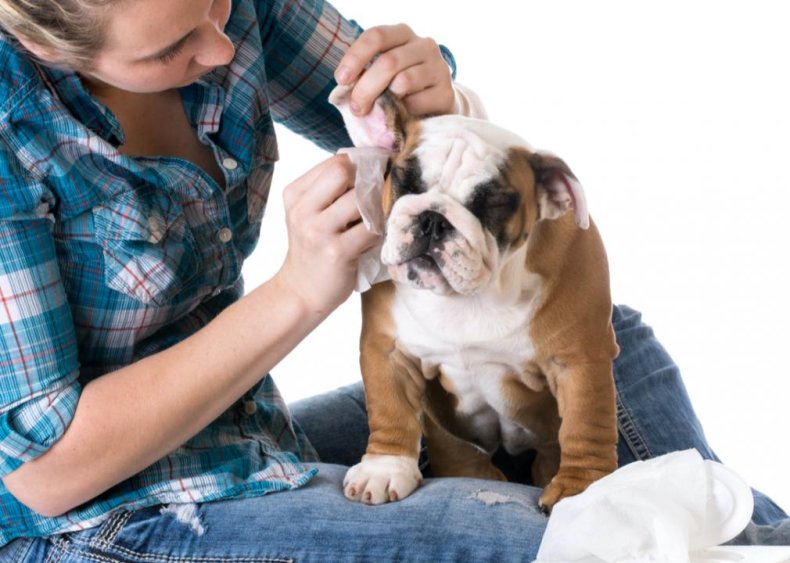 Ear infections