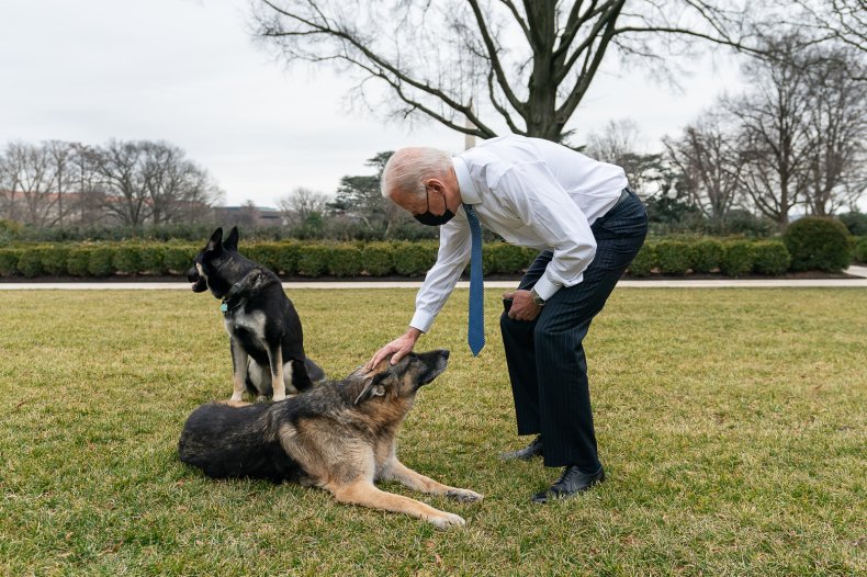 Joe Biden, Champ, and Major