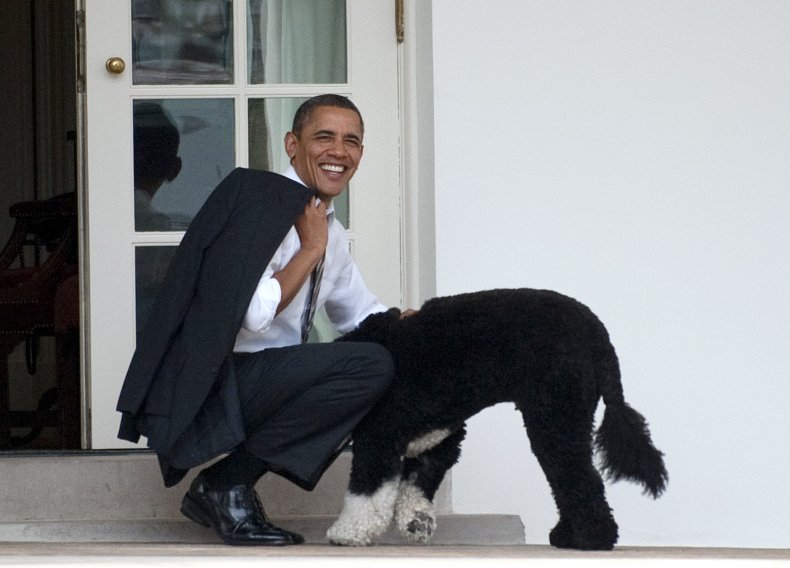 Barack Obama Bo
